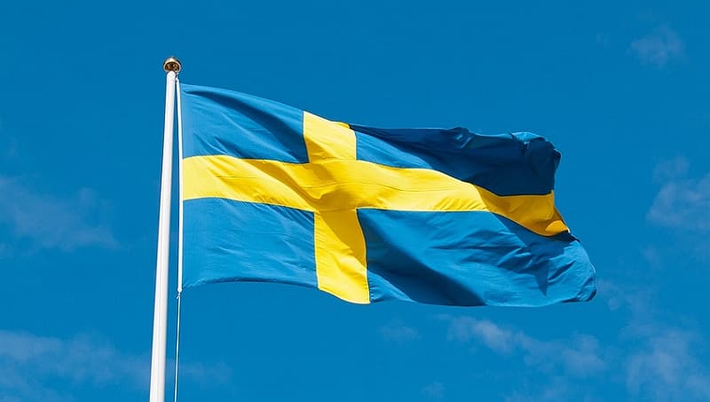 Spelinspektionen Швеции объявляет о новом руководителе отдела image