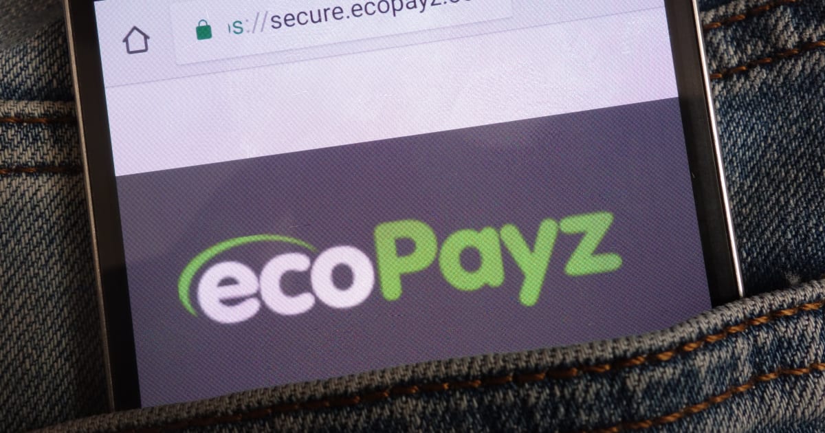 Ecopayz для депозитов и выводов в онлайн-казино