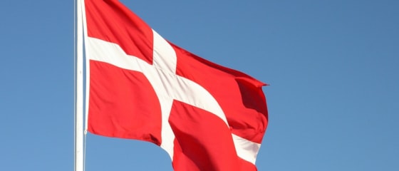 Объем игорного бизнеса в Дании вырос на 7,9% на всех рынках